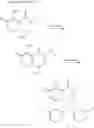 Fig. 293 - Substituted polycyclic carbamoyl pyridone derivative prodrug