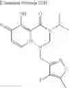 Fig. 407 - Substituted polycyclic carbamoyl pyridone derivative prodrug