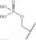 Fig. 58 - Substituted polycyclic carbamoyl pyridone derivative prodrug