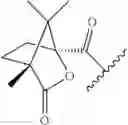 Fig. 59 - Substituted polycyclic carbamoyl pyridone derivative prodrug