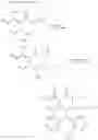 Fig. 709 - Substituted polycyclic carbamoyl pyridone derivative prodrug