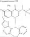 Fig. 982 - Substituted polycyclic carbamoyl pyridone derivative prodrug