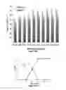 Fig. 08 - Compositions and methods for the dissolution and depolymerization of lignin