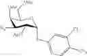 Fig. 352 - Galactoside inhibitor of galectins