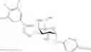Fig. 76 - Galactoside inhibitor of galectins