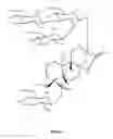 Fig. 02 - Novel Diterpene Glycosides, Compositions and Purification Methods
