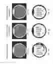 Fig. 04 - Isolated polynucleotides and polypeptides, and methods of using same for increasing plant yield and/or agricultural characteristics