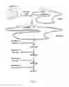 Fig. 04 - Expression constructs and methods of genetically engineering methylotrophic yeast