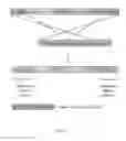 Fig. 08 - Expression constructs and methods of genetically engineering methylotrophic yeast