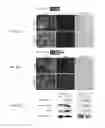Fig. 04 - Microdystrophin peptides and methods for treating muscular dystrophy using the same