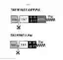 Fig. 19 - Microdystrophin peptides and methods for treating muscular dystrophy using the same