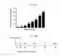 Fig. 20 - Microdystrophin peptides and methods for treating muscular dystrophy using the same