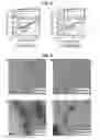 Fig. 06 - Chiral Substituted Amyloid Beta Peptides