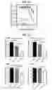 Fig. 09 - Chiral Substituted Amyloid Beta Peptides