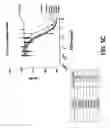 Fig. 10 - COMPOSITIONS AND METHODS OF TREATING DISEASE WITH FGFR FUSION PROTEINS