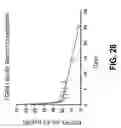 Fig. 40 - COMPOSITIONS AND METHODS OF TREATING DISEASE WITH FGFR FUSION PROTEINS