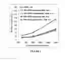 Fig. 02 - FACTOR VIII WITH EXTENDED HALF-LIFE AND REDUCED LIGAND-BINDING PROPERTIES