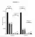 Fig. 16 - BISPECIFIC ANTIBODIES THAT BIND CD123 AND CD3