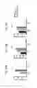 Fig. 52 - Combination therapy of T cell activating bispecific antigen binding molecules and PD-1 axis binding antagonists