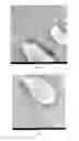 Fig. 03 - Method for preparing polyvinyl chloride by suspension and polymerization, and feeding device