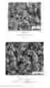 Fig. 19 - Method for producing anisotropic zinc phosphate particles