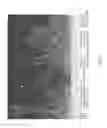 Fig. 02 - Coating for the mitigation of metal whiskers