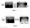 Fig. 02 - Refractory coating material containing low biopersistent fibers and method for making the same