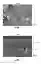 Fig. 09 - Bioactive borophosphate glasses