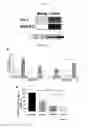 Fig. 03 - Adoptive immunotherapy for treating cancer