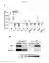 Fig. 04 - Adoptive immunotherapy for treating cancer