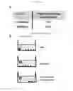 Fig. 08 - Adoptive immunotherapy for treating cancer
