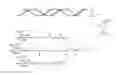 Fig. 02 - Hepatitis B virus (HBV) iRNA compositions and methods of use thereof