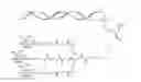 Fig. 06 - Hepatitis B virus (HBV) iRNA compositions and methods of use thereof
