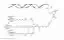 Fig. 07 - Hepatitis B virus (HBV) iRNA compositions and methods of use thereof