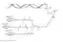 Fig. 09 - Hepatitis B virus (HBV) iRNA compositions and methods of use thereof