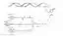 Fig. 03 - Hepatitis D virus (HDV) iRNA compositions and methods of use thereof