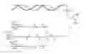 Fig. 04 - Hepatitis D virus (HDV) iRNA compositions and methods of use thereof