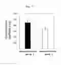 Fig. 07 - Single-stranded nucleic acid molecule for inhibiting TGF-β1 expression