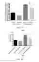 Fig. 06 - siRNA compositions that specifically downregulate expression of a variant of the PNPLA3 gene and methods of use thereof for treating a chronic liver disease or alcoholic liver disease (ALD)
