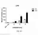 Fig. 08 - siRNA compositions that specifically downregulate expression of a variant of the PNPLA3 gene and methods of use thereof for treating a chronic liver disease or alcoholic liver disease (ALD)