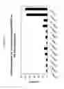 Fig. 28 - Methods and Compositions for Selecting siRNA of Improved Functionality