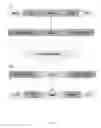Fig. 07 - Expression constructs and methods of genetically engineering methylotrophic yeast