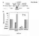 Fig. 22 - Modulation of expression of acyltransferases to modify hydroxycinnamic acid content