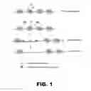 Fig. 02 - Using programmable DNA binding proteins to enhance targeted genome modification