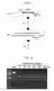 Fig. 02 - Methods of producing and using single-stranded deoxyribonucleic acids and compositions for use in practicing the same