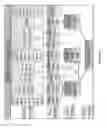 Fig. 09 - Target reporter constructs and uses thereof