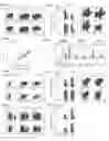 Fig. 06 - T cell balance gene expression, compositions of matters and methods of use thereof