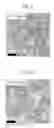 Fig. 03 - AUSTENITIC STAINLESS STEELS EXCELLENT IN FLEXIBILITY