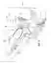 Fig. 07 - Shovel handle with bail over dipper feature