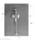 Fig. 01 - INTELLIGENT STANDPIPE